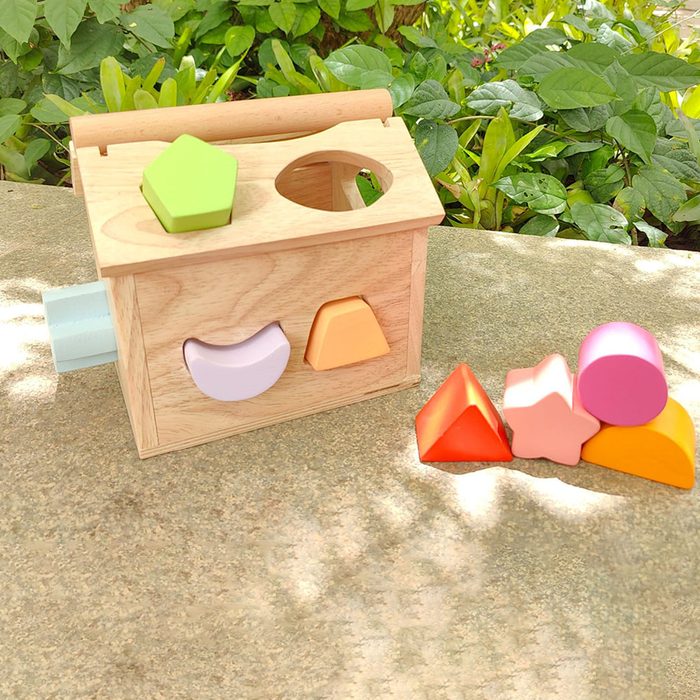Wooden shape sorter Montessori